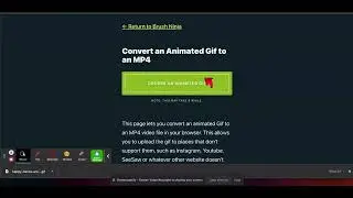 How to Convert Gifs to MP4 files in Brush Ninja