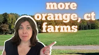 Support Your Local Orange CT Farms -  Part 2