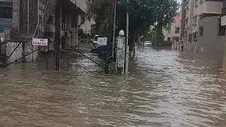 Vadodara City heavy rain with water logging #1