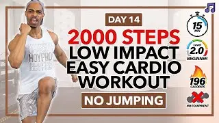 15 MIN Easy Step Cardio HIIT Workout (Low Impact) | 2000 Steps Cardio - Day 14