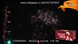 СП0605001 Веселый случай
