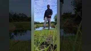 Neelone  Anandham  song