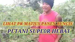 MELIHAT RUMAH PK MATIUS DAN SAMBOL PANEN BUNCIS