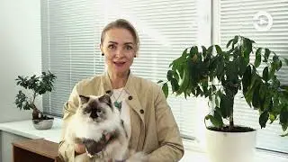 Ушки на макушке с Анной Рудаковой, выпуск 29