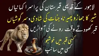 Qabristan ke puriSrar waqiaat - قبرستان کے پراسرار واقعات - Cemetery Secrets