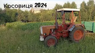 Косовиця 2024 #трактор #Т-25 прицеп косарка Косимо на сіно