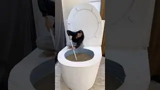 I made Biggest Toilet Seat!