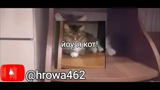 Миша-йоу, я кот официальный трек.