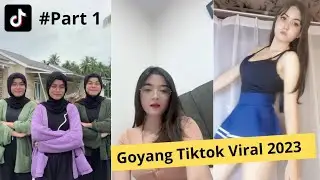 Goyang Tiktok Viral Meresahkan Terbaru 2023 || Nizam GME #part1