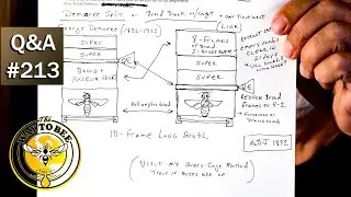 Backyard Beekeeping Questions and Answers Episode 213, queen excluder issues, or not?