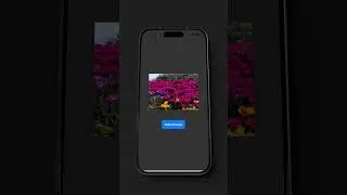 SwiftUI Image Picker Select and Display Photos in Your App IOS 14+ 