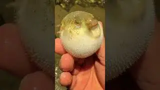 Dapat pala ganito para maging cute 🥰