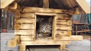 Кошкин дом. Дом для кошек. Дом. Дача.