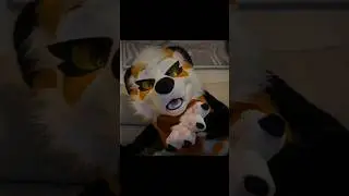 Another chise furry edit #furry #furrymemes