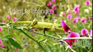Survival Skills: 3 things law firms can do to adapt to change