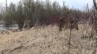 Маскировочная сеть Камыш