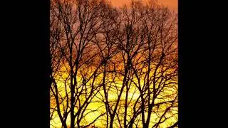 Sviatoslav Richter - Beethoven Sonata op.109 (1971)
