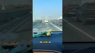 why the car driver honked the horn