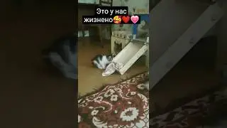 как это бесит ночью... 🤣🥰
