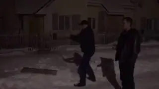 Экономичный салют на новый год