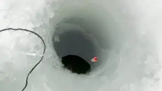 Что скрывается под толщей льда!