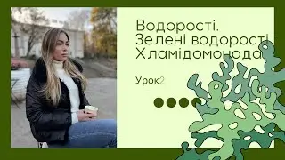 Загальна характеристика водоростей. Хламідомонада. Підготовка до ЗНО