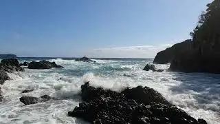海