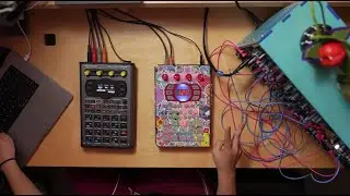 Live Eurorack, SP-404 and Chill 👾