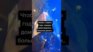 Обряд на деньги. Ритуал на Новый год к деньгам