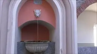 Curio