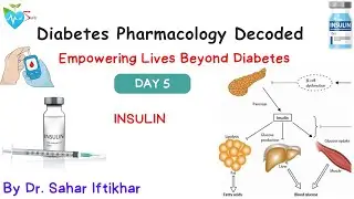 Day 5 Diabetes crash course by Dr Sahar Medsparkles