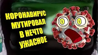 НОВЫЙ ВИД КОРОНАВИРУСА - БАБОНОВИРУС feat. ХАЙПЛИКС