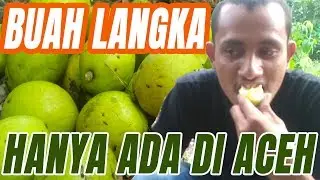 Berburu Buah Langka Yang Hanya Ada di Aceh