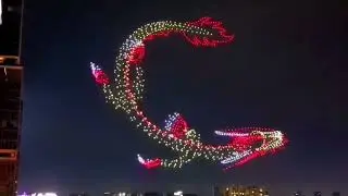 World Drone Show