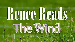 Renee Reads: Who Has Seen the Wind