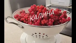 Витаминная бомба .Калина. Укрепляйте иммунитет!!!