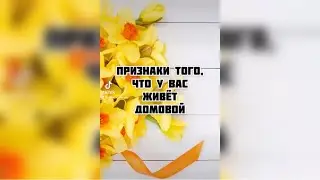 А у вас дома живет домовой?