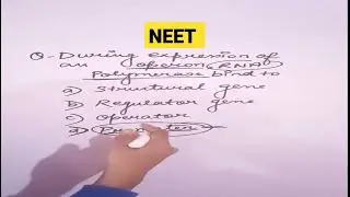🔥Molecular basis of inheritance|NEET Competitive MCQs|Previous year most important question #shorts