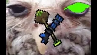this owl can't keep getting away with it..... (awful weekly L4)