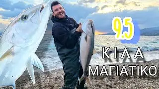 ΜΕΓΑΛΟ Μαγιάτικο Με Καρούλι 🤯 ( Big Amberjack )