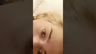 бешеные псы 
