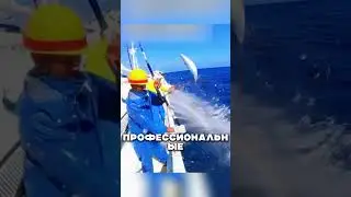 LEGENDARY Fishing Championship 🤯🎣