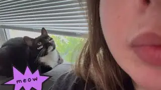 POV: You’re a cat and it’s bath time (ACTUAL lens licking ASMR) 🐈🩷