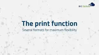 Print Function with BIC Process Design