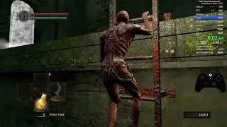 DSR Any% Force Quit Dropmod 18 29