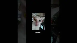 Але, Райфайзен банк звонит