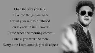 Niall Horan - Nice To Meet Ya [Full HD] lyrics