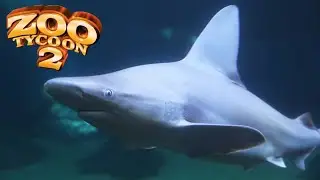 Sandbar Shark Exhibit Speed Build - Zoo Tycoon 2