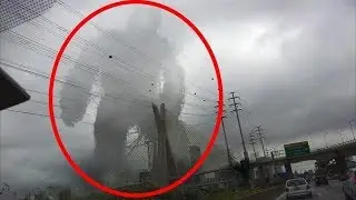 10 IMAGES OF BIGFOOT CAUGHT ON CAMERA
